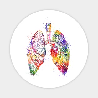 Lungs Anatomy Art Colorful Watercolor Gift Magnet